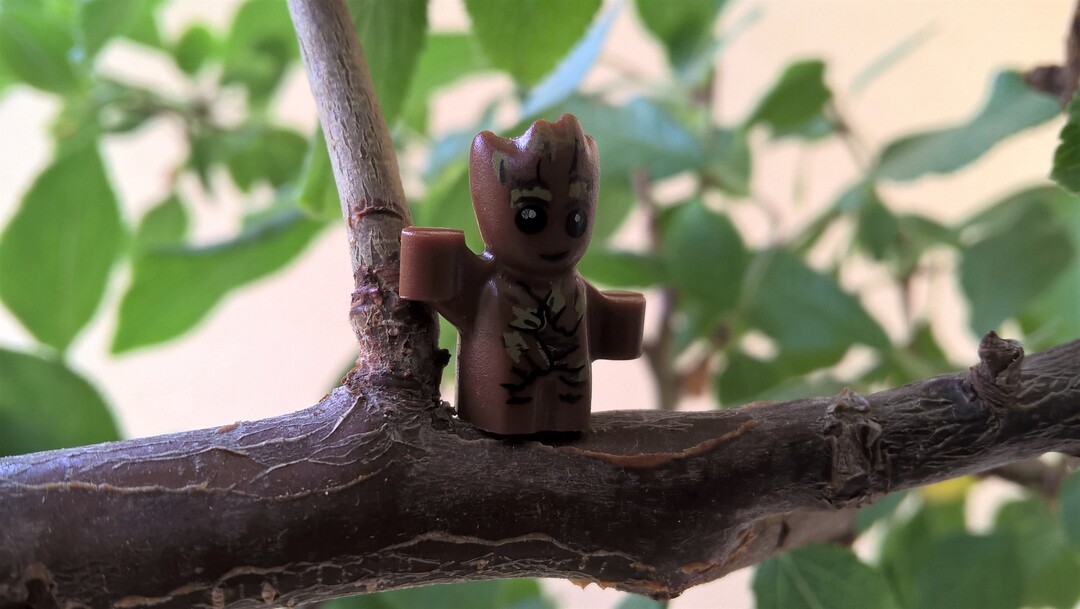 I am Groot
